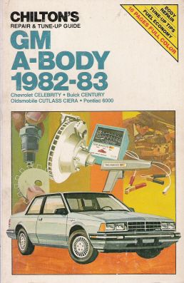 a_body_1982_1983.jpg