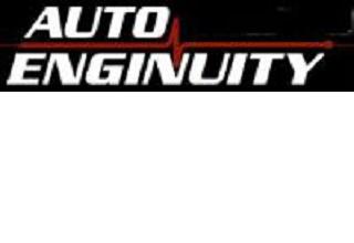 1995 - 2023 GM Car & Truck Enhanced OBD-II Auto Enginuity Software (Requires ST06)